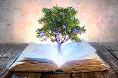 English 9 Part 2 the Second Semester of the course for $125